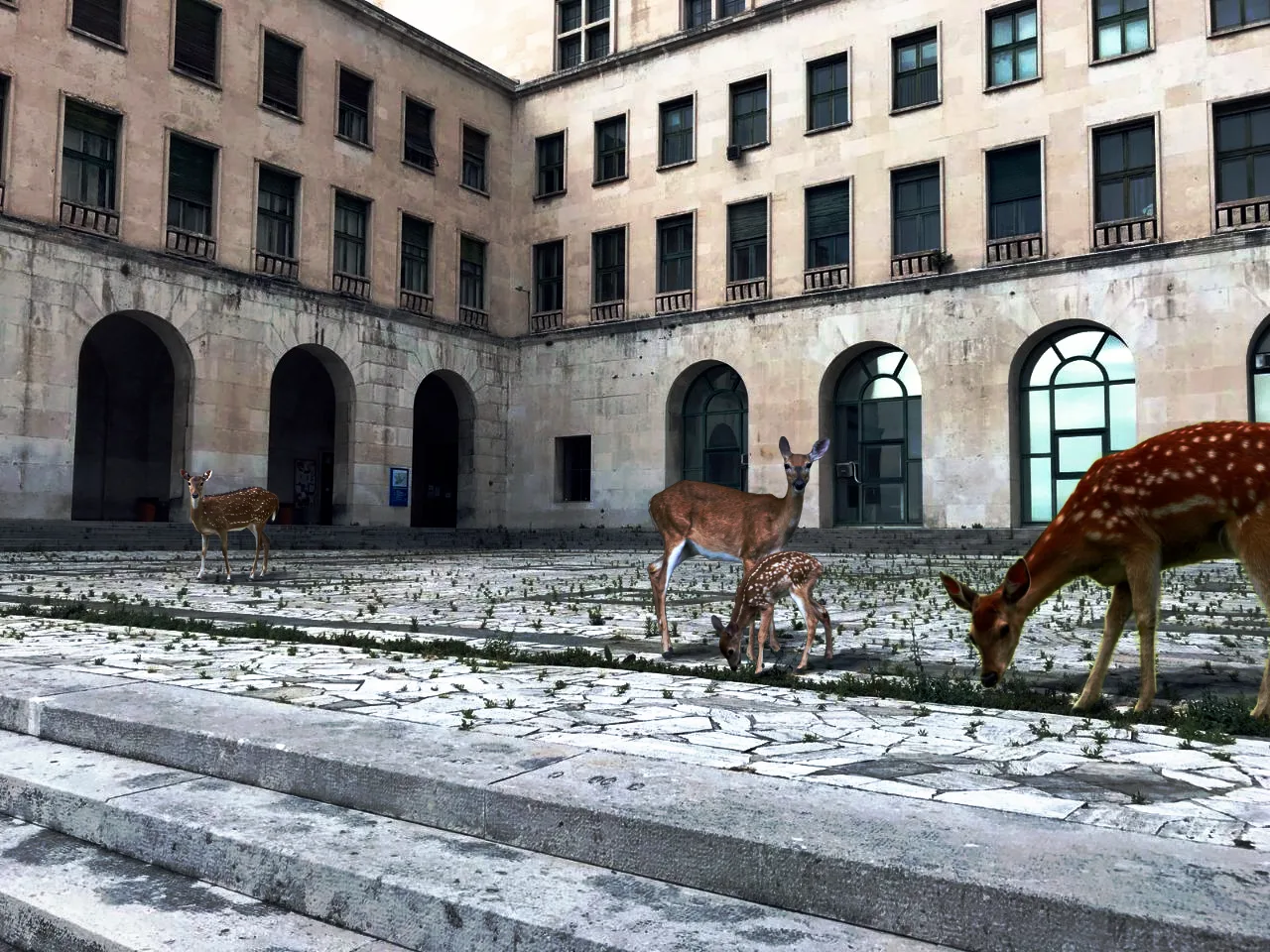 Fotomontaggio di quattro cervi in un cortile universitario.